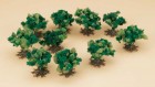 70906 Auhagen 10 shrubs - 4 cm
